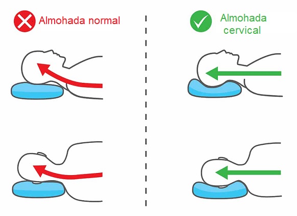 que es una almohada cervical que es una almohada cervical